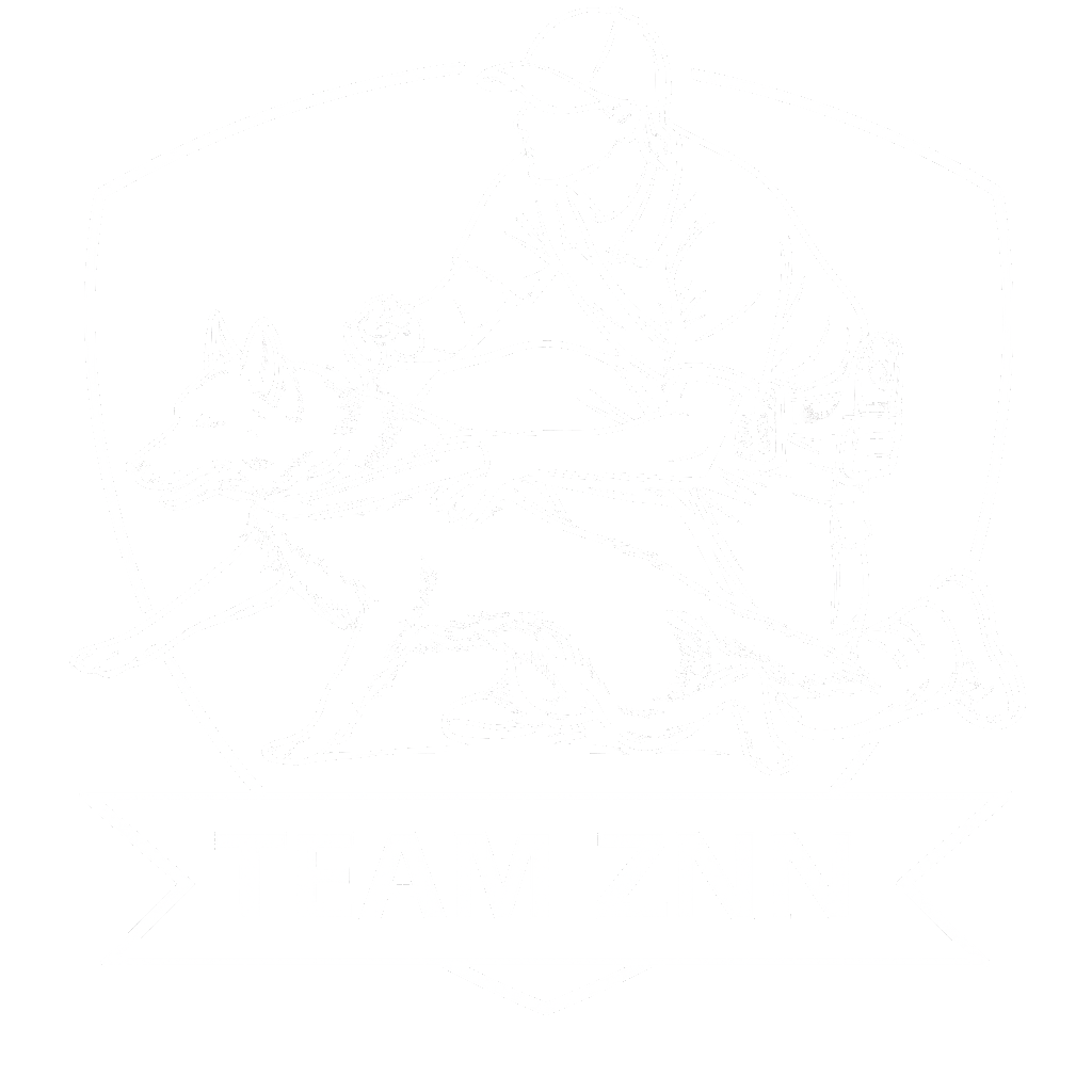 TeamZNN